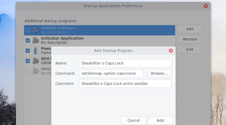 Captura de tela mostra janela do gerenciador de aplicativos de início