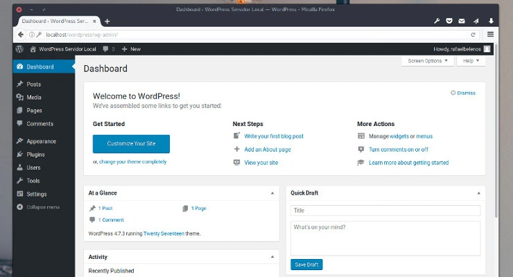Captura de tela mostrando página de administração do WordPress
