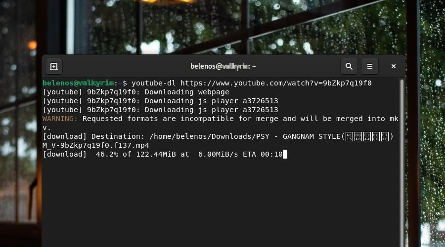 Captura de tela mostrando o funcionamento do youtube-dl no terminal do Ubuntu