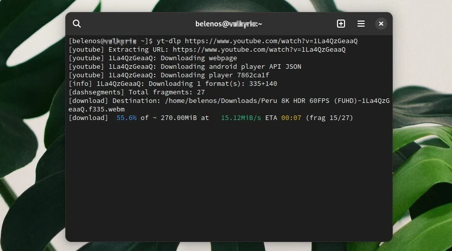 Captura de tela mostrando o funcionamento do yt-dlp no terminal Linux