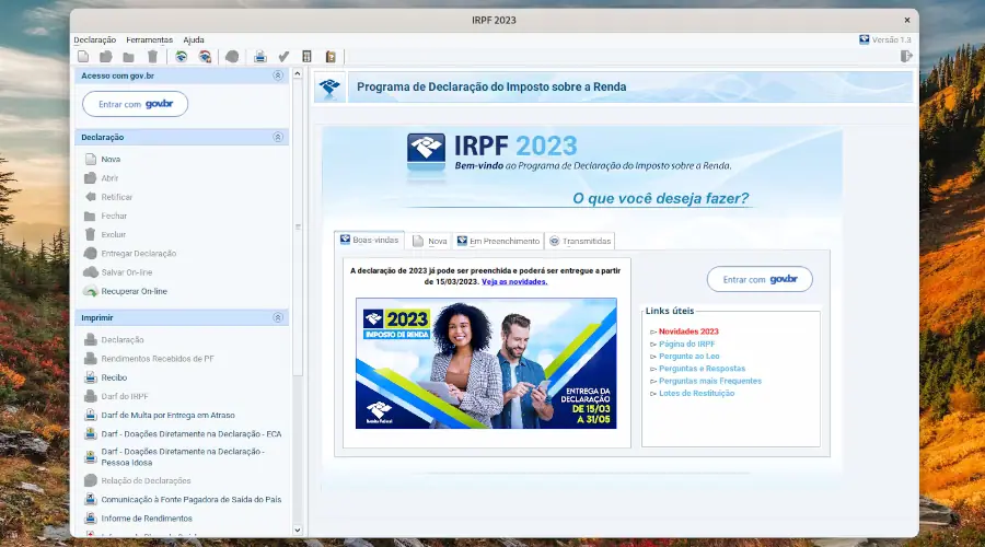 Janela do IRPF aberta no Linux