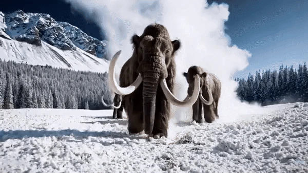 gif de um trecho do video de demostração do Sora mostrando três mamutes adultos caminhando sobre a neve em direção à câmera