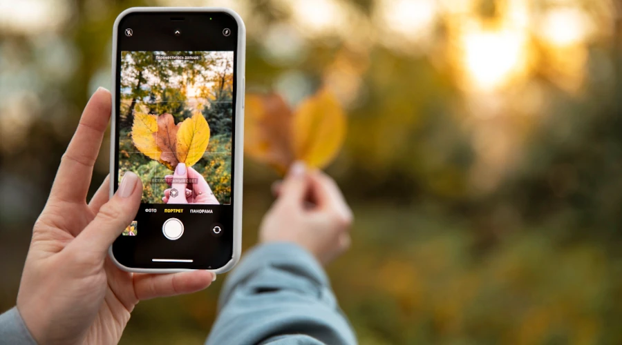 Foto de uma mão feminina segurando um iPhone e tirando foto de duas folhas amareladas seguradas com a outra mão