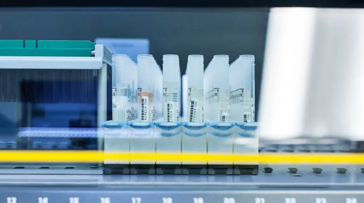 23andMe sob investigação por vazamento de dados