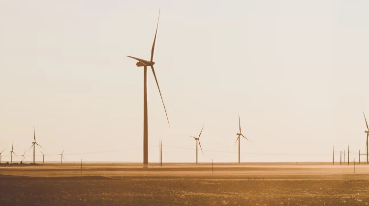 Google abandona neutralidade de carbono e mira redução líquida até 2030