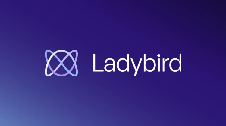 Novo navegador Ladybird promete web livre de influências corporativas